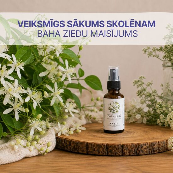 VEIKSMĪGS SĀKUMS SKOLĒNAM